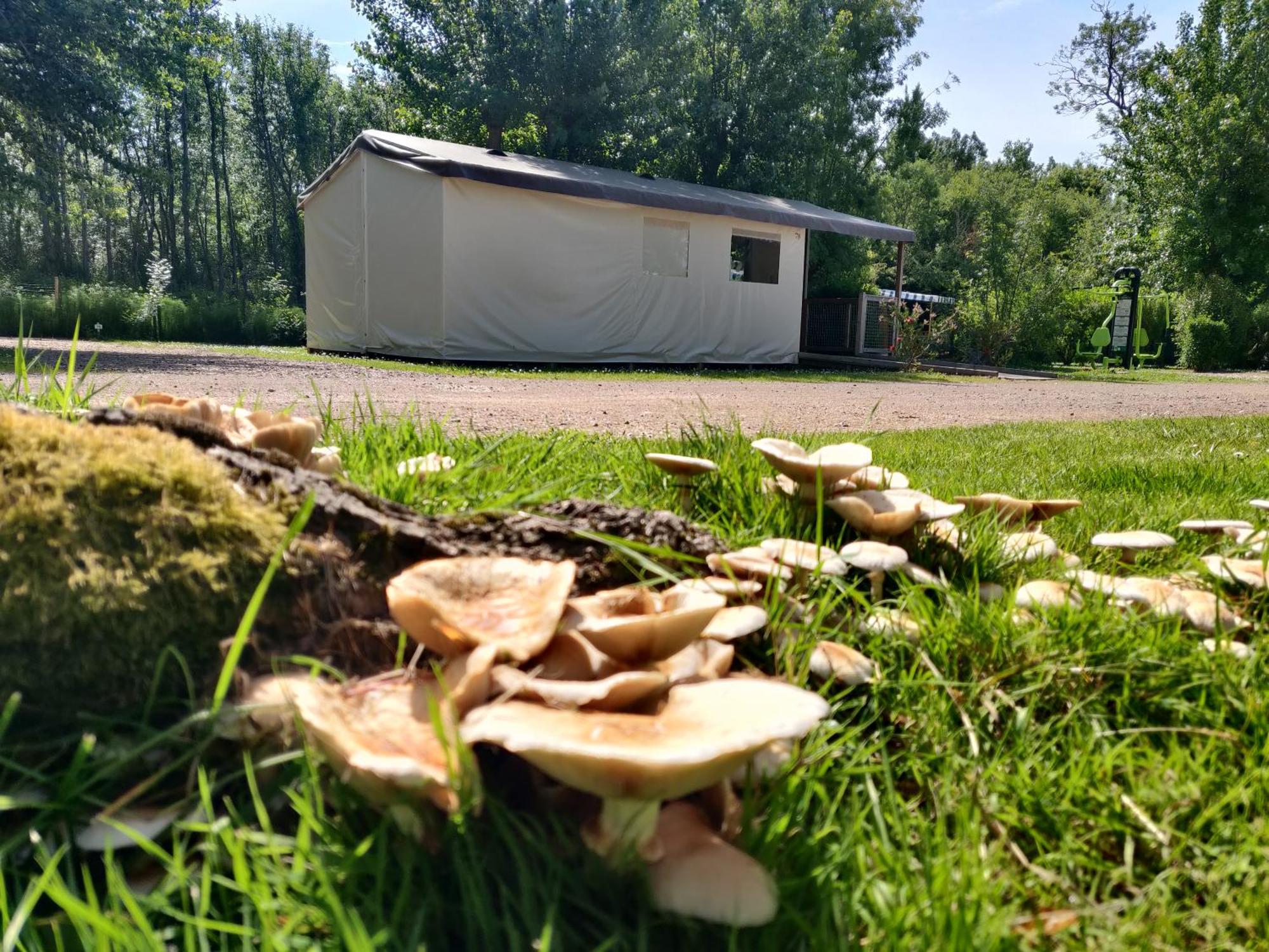 Camping Les Mancellieres Avrillé 외부 사진